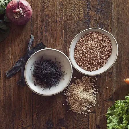 Masqi, The Energy House منتجع Bañeres